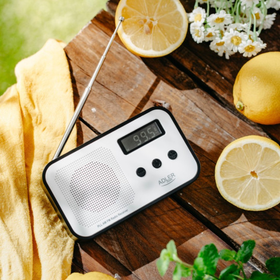 Radio cyfrowe PLL AD1907