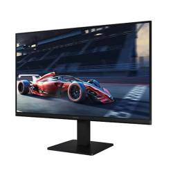 Monitor 24 cale LS24D304GAUXEN 