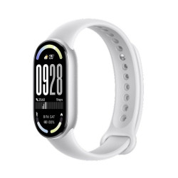 Opaska sportowa Smart Band 10 Glacier Silver 