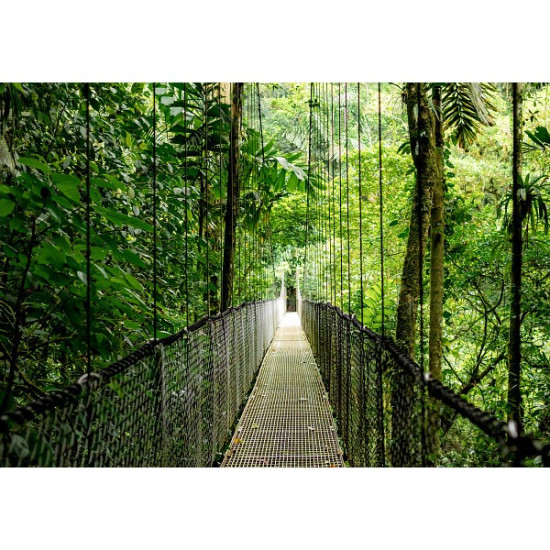 ProDesk 4 Tower G1i Desktop AI PC U7-265 1TB/16/W11P      9H7U8ET 