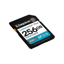 Karta pamięci SD 256GB Canvas Go Plus 200/160 MB/s C10 U3 V30