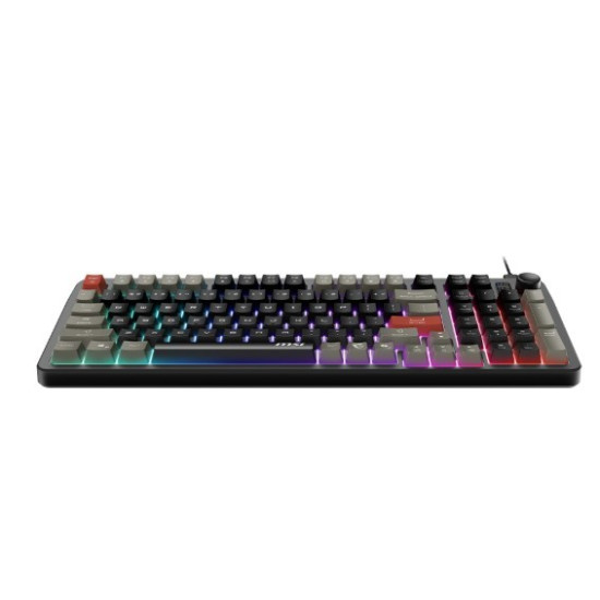 Klawiatura gamingowa Forge GK110 US 