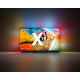 Telewizor 65 cali QD MiniLED 65MLED950/12