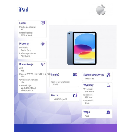 iPad WiFi 11 cali 512GB Niebieski