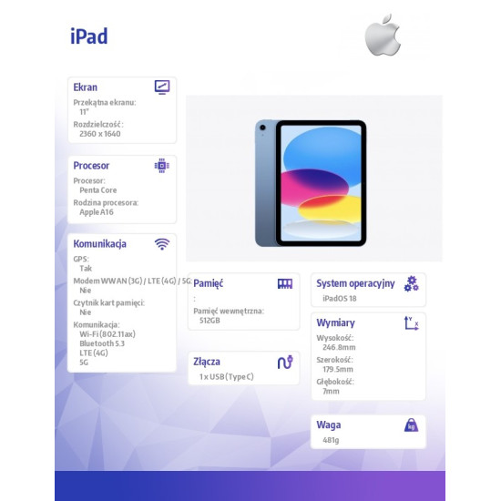 iPad WiFi + Cellular 11 cali 512 GB Niebieski