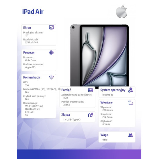 iPad Air 13 cali WiFi + Cellular 256GB Szary