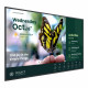 Monitor wielkoformatowy 55 cali ST5504  LED 4K/4500:1/ANDROID 
