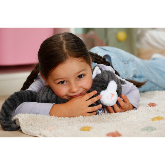 Maskotka interaktywna Baby Born Mój Kot Cookie z pudełkiem 