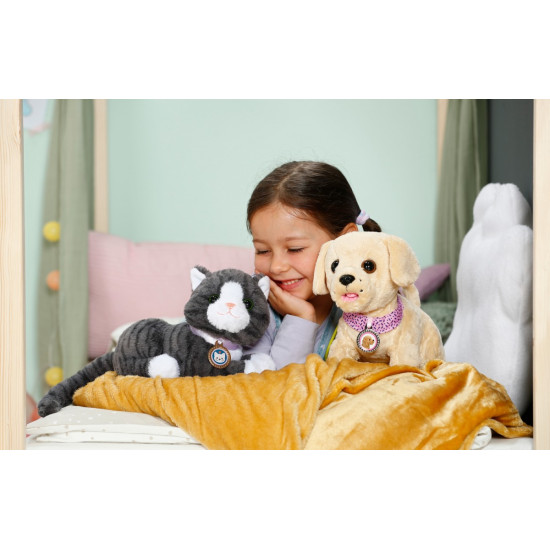 Maskotka interaktywna Baby Born Mój Kot Cookie z pudełkiem 