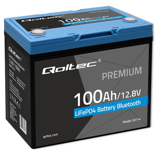 Akumulator LiFePO4 Litowo-Żelazowo-Fosforanowy | 12.8V | 100Ah | 1280Wh | Bluetooth | BMS 