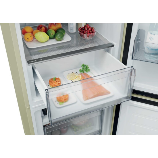 Chłodziarko-zamrażarka CNCQ2T518EC 