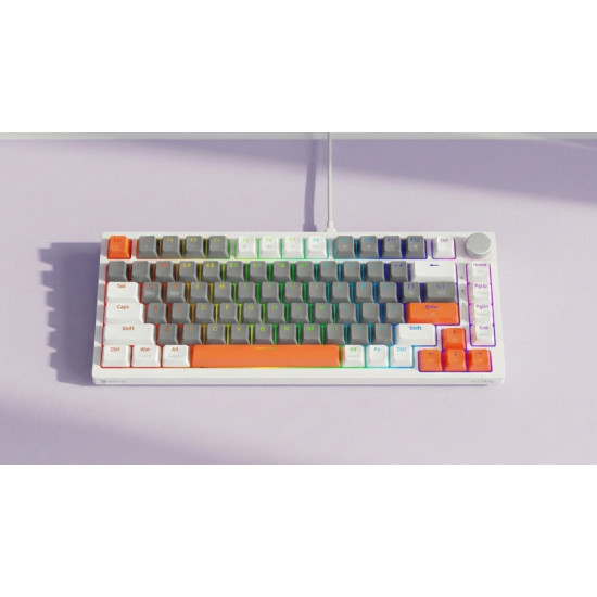 Klawiatura magnetyczna ASTRAL White OUTEMU White jade RGB 3 kolory keycapów