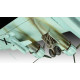 Model plastikowy Samolot Focke-Wulf Fw 200 C-5/C-8