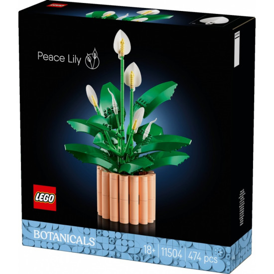 Klocki Botanicals 11504 Skrzydłokwiat