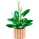 Klocki Botanicals 11504 Skrzydłokwiat