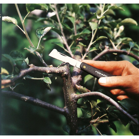 Okulizak K60 1001625