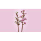 Klocki Botanicals 40725 Kwiaty wiśni 