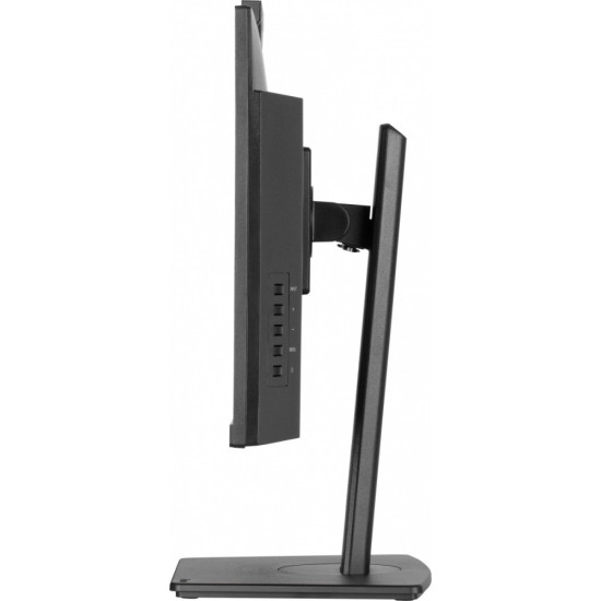Monitor 24 cale XUB2490HSUH-B2 + Norton Small Business card 250G PL