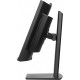 Monitor 34 cale XCB3497WQSNPH-B1 + Norton Small Business card 250G PL