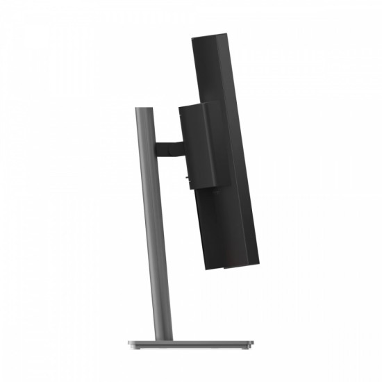 Monitor 39.7 cala ThinkVision P40WD-40 64B4XAT1EU