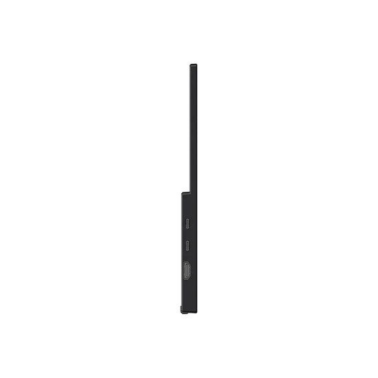 Monitor 15.6 cala PRO MP165 E6 LED/FHD/Flat/60Hz/czarny