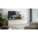 Telewizor LED 55 cali 55GK4245E 