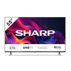 Telewizor LED 55 cali 55GK4245E 