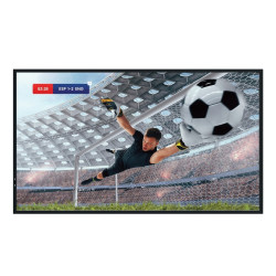 Monitor 55DM66D 55 cali 4K UHD IPS Digital Signage Display 24/7 