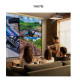 Projektor TH575i DLP FHD 3800ANSI/15000:1/HDMI