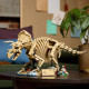 Klocki Jurassic World 77985 Szkielety dinozaurów: Triceratops 