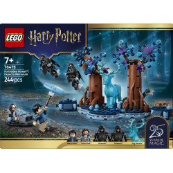 Klocki Harry Potter 76475 Zakazany Las: Expecto Patronum 