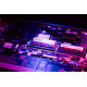 Pamięć DDR5 Rival SODIMM 64GB(2*32GB) CL40