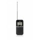 Radio RAE411B