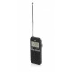 Radio RAE411B