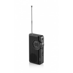 Radio RAE311B