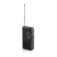 Radio RAE311B