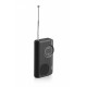 Radio RAE311B