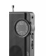 Radio RAE311B