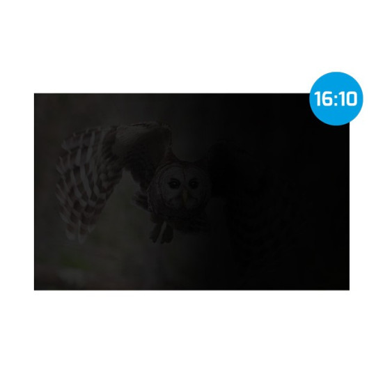 Filtr prywatyzujący RODO Owl 14'' 16:10 