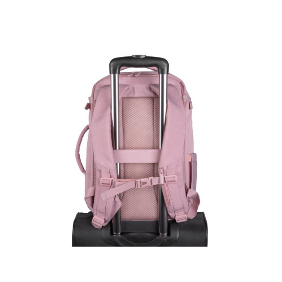 Plecak do laptopa Camel Lite 15.6 cala różowy 19L 