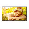 Monitor 32UL5Q-M 32 cale 24/7 500nit 