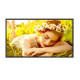 Monitor 32UL5Q-M 32 cale 24/7 500nit 