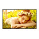 Monitor wielkoformatowy 75UL5Q-M UHD IPS 75 cali 500cd/m2 24/7 