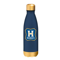 Butelka ze stali nierdzewnej 500ml, Harry Potter
