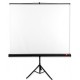 Ekran na statywie Tripod Standard 175, 1:1, 175x175cm, powierzchnia biała, matowa